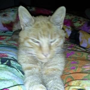 Meet your Posher, Marie